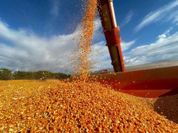 Secuestrantes de micotoxinas: avances científicos, cumplimiento de la UE y validación analítica en medio del aumento de los riesgos de aflatoxina